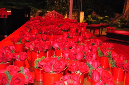 Rosas Vermelhas