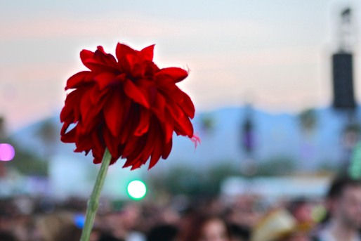 Festival Coachella 2014