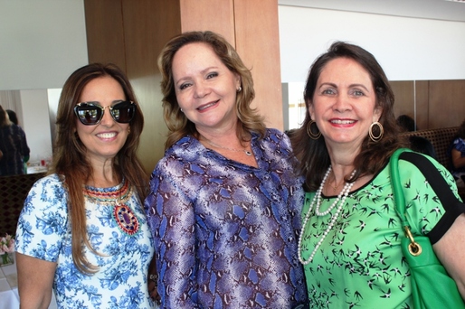 Florinda Meirelles, Eliane Kruschewsky e Helena Fialho