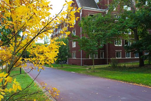 Collège Franco-Britannique