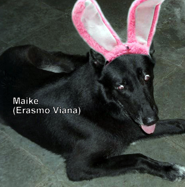 E como Erasmo Viana adora animais, mais uma paixão, maike!