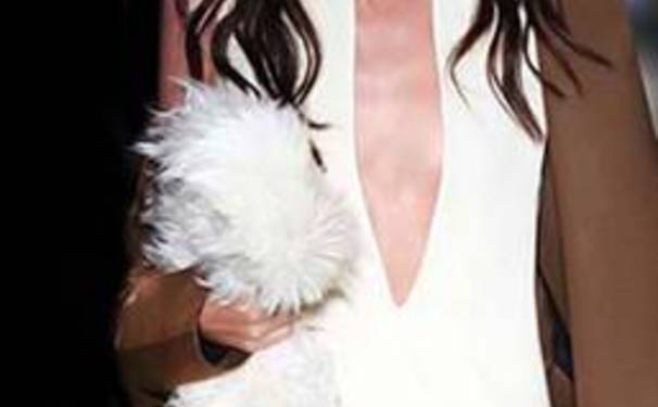 Animale Lança coleção nova!