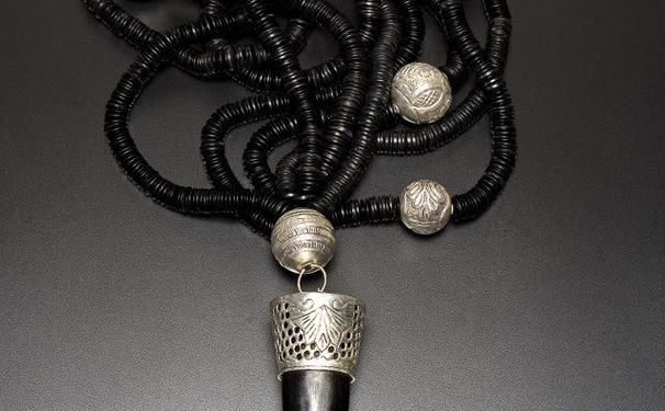 Dia de Navegar na Web!