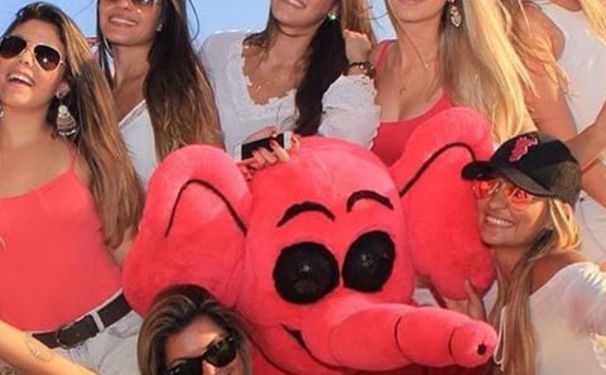 Pink Elephant promove festa de Pré-Carnaval no Camarote do Nana