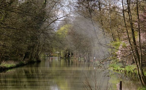 Le Moulin Jaune