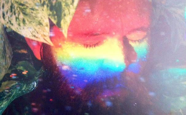 O catador na floresta de Signos