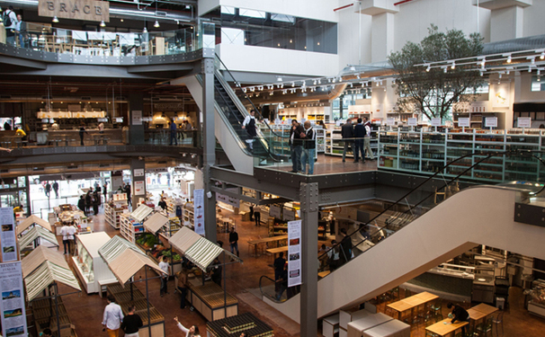 Dia de Navegar na Web!