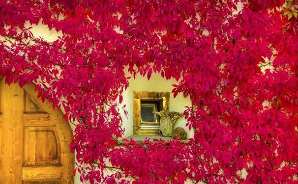 Entre Janelas e cores