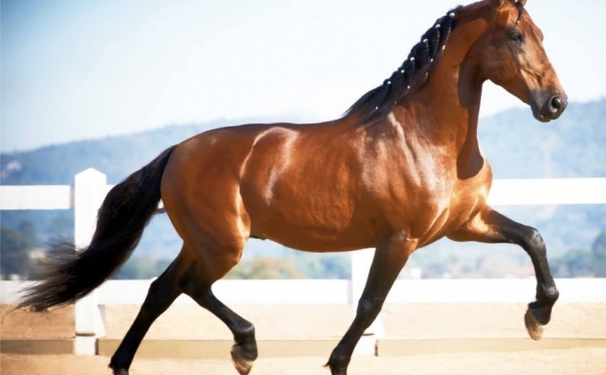 Evento milionário...