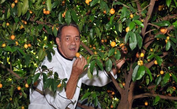 A chegada da Primavera na Bahia