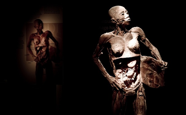 Exposição “Fantástico Corpo Humano” 