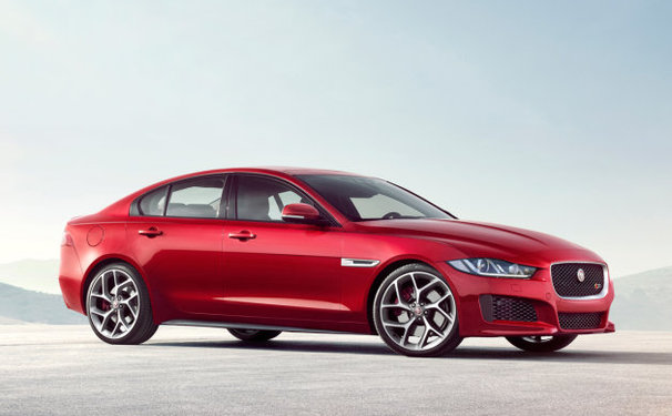 Aviso aos navegantes apaixonados por um jaguar!