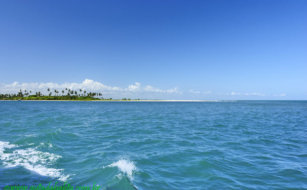 Almoço na Ponta do Curral.
