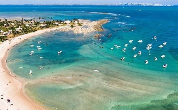 Réveillon dos Sandoval...