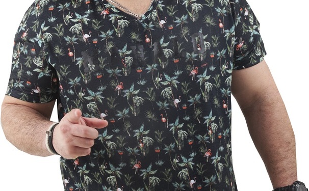 Danniel Vieira agita camarotes, bloco e comanda trios independentes no Carnaval 2018