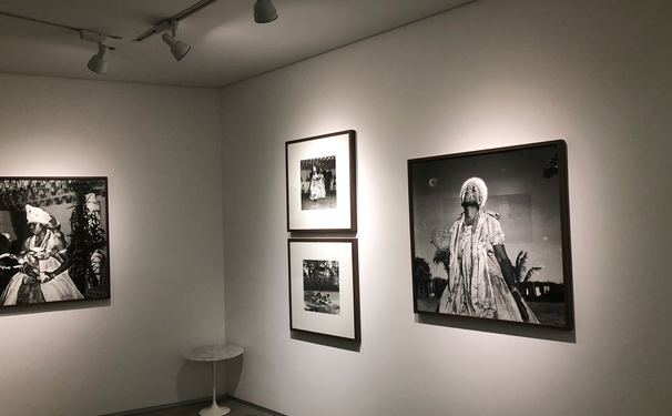 O mundo das artes reunido hoje na galeria de Paulo Darzé 