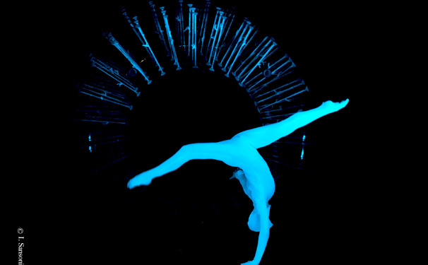 Em apresentação única "Night Garden" chega à Bahia