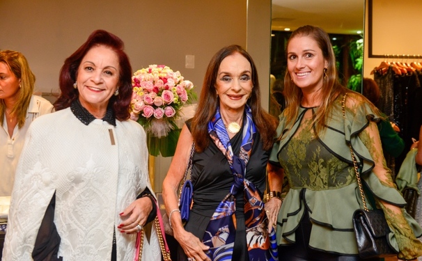 Verinha Luedy, uma Dama do Bem.