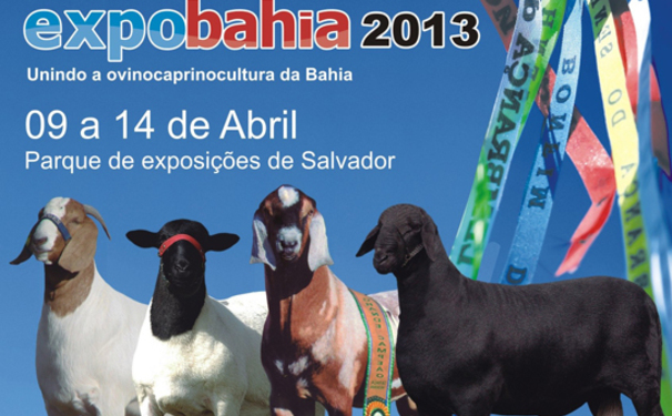 Expobahia 2013!