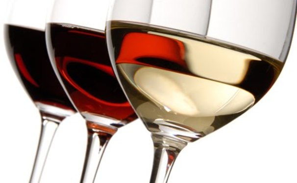 Ana Import Promove Enoturismo na Espanha.