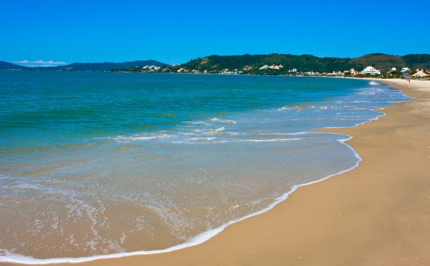 Brasil no "Telegraph" !