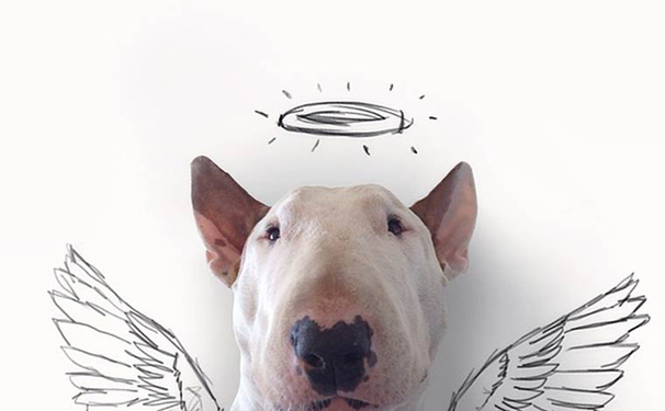 Isso sim é bacanérrimo!