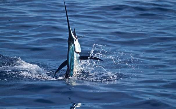 Aviso aos navegantes do Yacht Clube da Bahia!