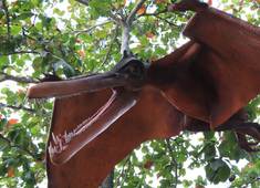 Exposição Geologar