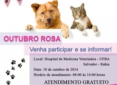 Hospital de Veterinária da UFBA realiza “Outubro Rosa Pet”