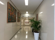 Quadros do artista plástico José Celino Neto nos corredores do Shopping Barra