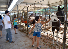 Destinação do Parque de Exposições de Salvador será prioritariamente para eventos agropecuários