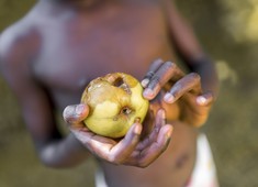 Pesquisa mostra que 52 milhões de brasileiros estão em situação de insegurança alimentar