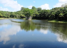 Verão Eco Parque Sauípe traz opções de lazer com sustentabilidade