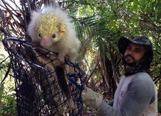 Ação ambiental marca início da Construção da Via Metropolitana Camaçari-Lauro de Freitas