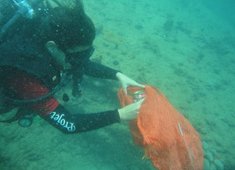Parceria entre Prefeitura e mergulhadores coleta resíduos do mar da Barra