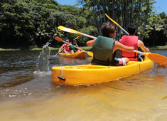 Verão Eco Parque Sauípe na Linha Verde