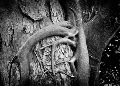  Nilton Souza no Acbeu