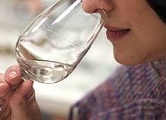 A arte de apreciar uma cachaça