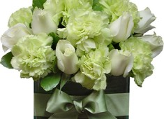 Caravana Cravos e Rosas na Paz