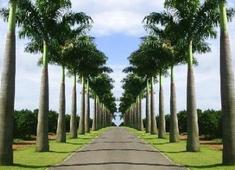  10ª Primavera dos Museus