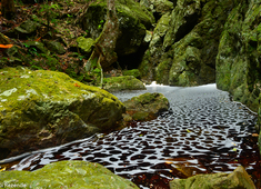 Unidades de Conservação da Bahia em Lençois