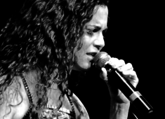 A Bahia de Ouro de Pedra de Alcyvando Luz