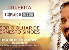 Ernesto Simões. 37 anos de amor a arte.