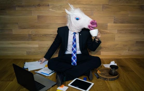 Startup unicórnio: saiba o que é e como criar uma