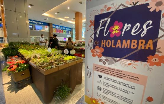 Feira de Flores de Holambra segue até sábado, 17 de outubro