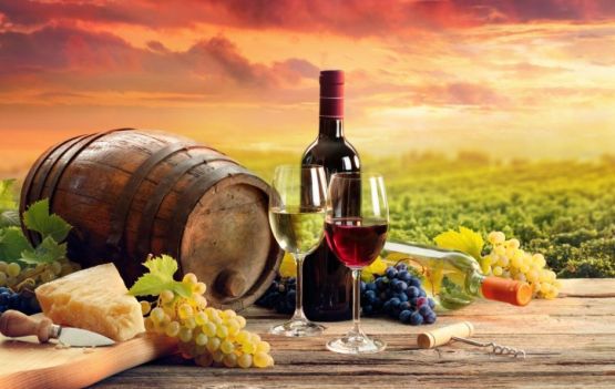 Consumo de vinhos portugueses cresce no mercado brasileiro Ca