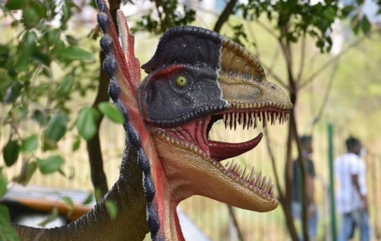 Fotos: Valter Pontes/Secom, Jefferson Peixoto/Secom e Bruno Concha/Secom 