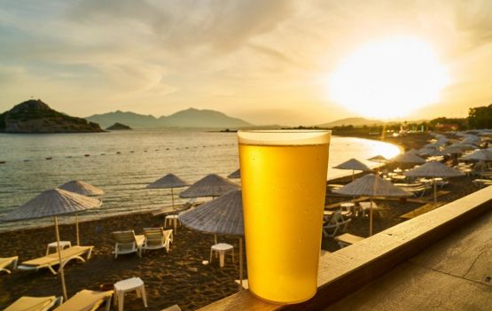 Estamos em pleno verão, descubra dicas cervejeiras para a temporada.