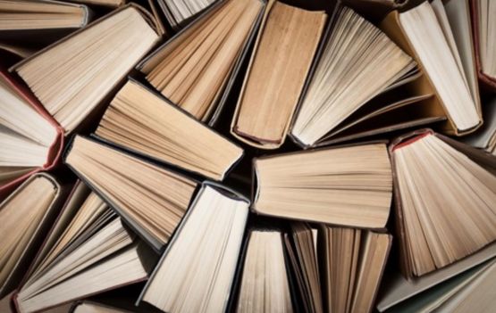 Vem aí a Felica festa literária da Caramurê