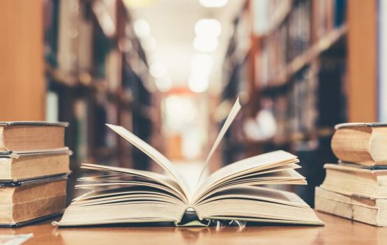 Dia da Mulher: 8 livros que celebram histórias femininas para ler neste mês